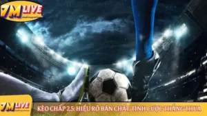 Kèo chấp 2.5